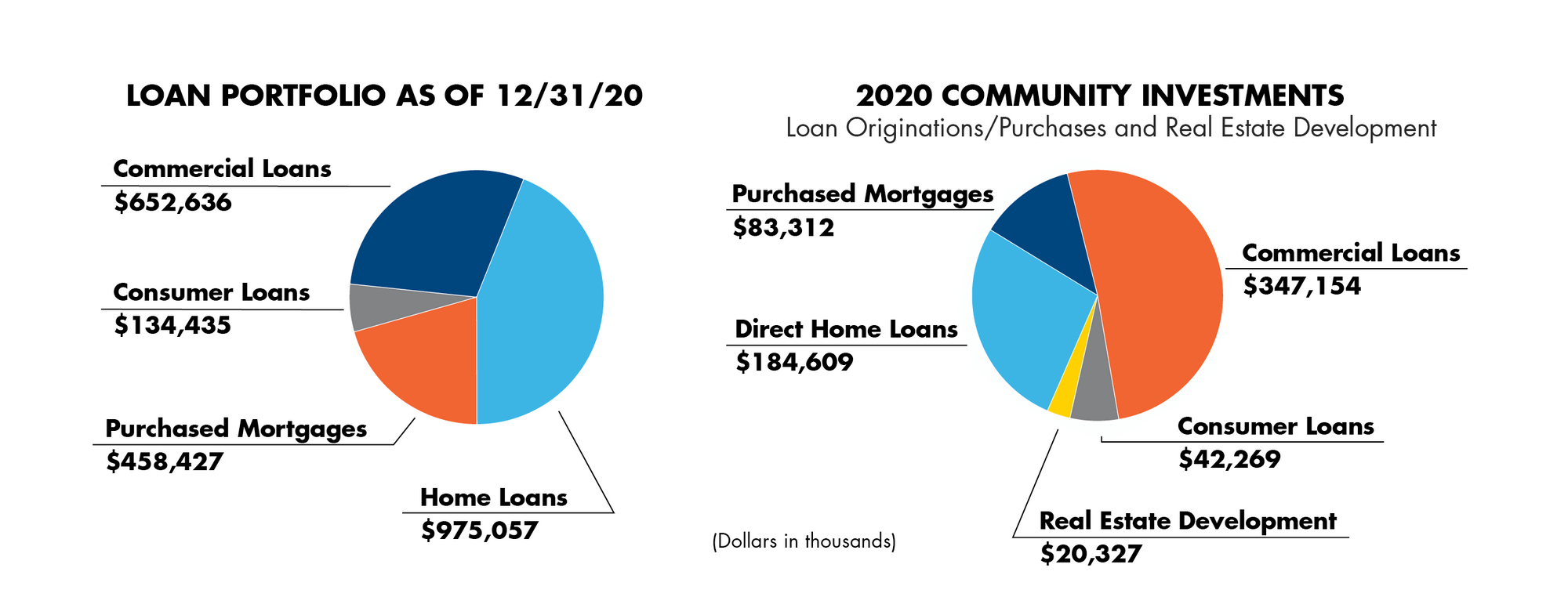 2020-AR-PIE-CHART-PROJECT-FILE-copy-cropped-p-2000 2020 Annual report financials charts.